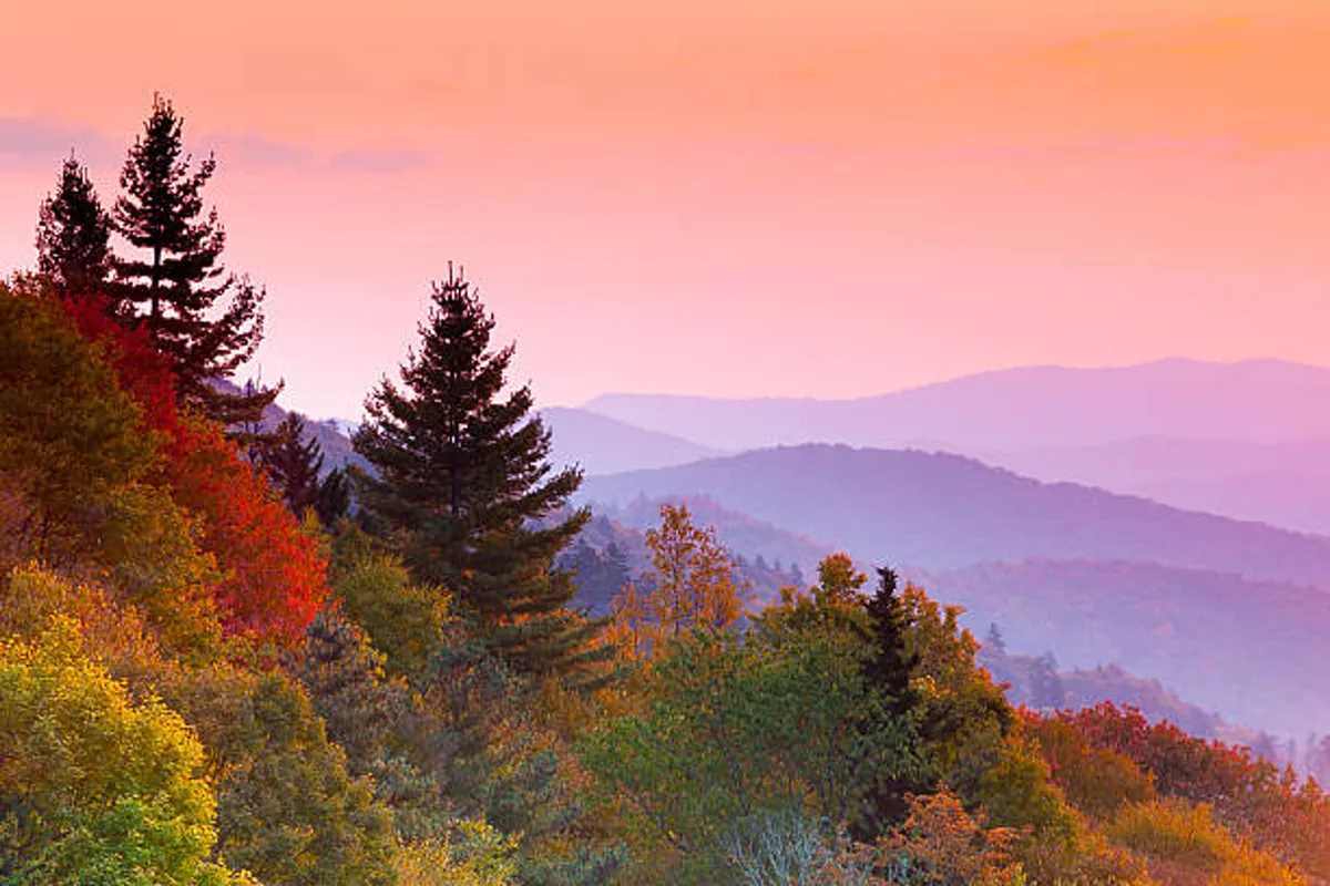 A tranquil scene featuring silhouetted trees and layered mountains beneath a sunset sky, highlighting the peaceful and awe-inspiring natural environment of the Smoky Mountains. The mood is quiet and reflective.