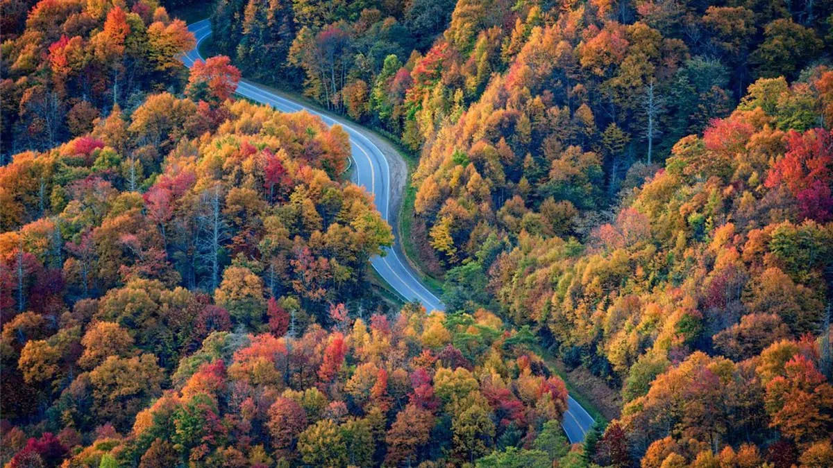 A picturesque view of a winding road framed by colorful foliage and rolling hills, creating a sense of exploration and connection to the great outdoors. The vibrant natural setting reflects the area’s scenic beauty, especially in autumn.
